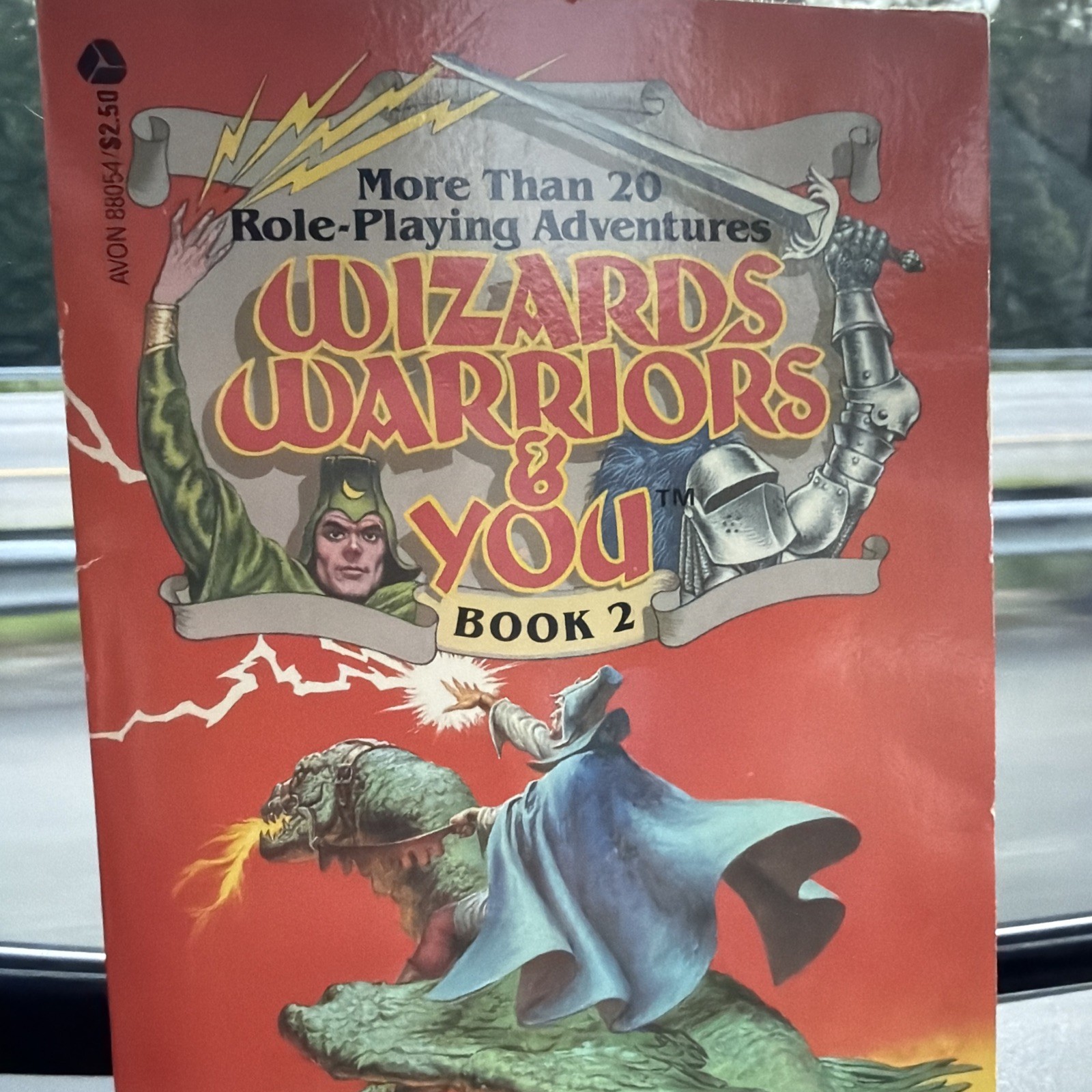 Wizards Warriors & You #2 The Siege of the Dragonriders 1st Printing 1984