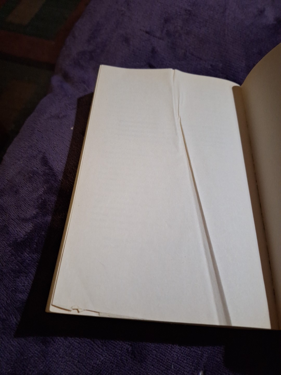 EVE’S DAUGHTER~ Novel By LYNN AUSTIN~Fiction~428 Pages~#3912