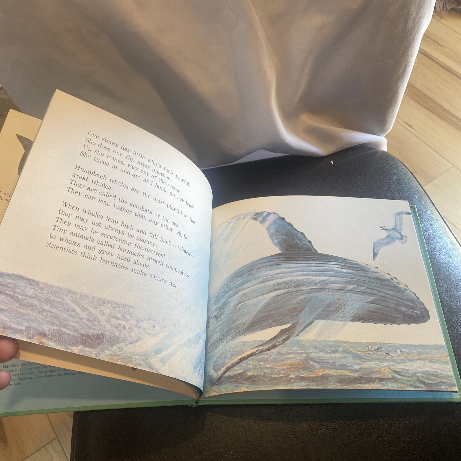 Little Whale. By Ann McGovern. 1979 HC Edition
