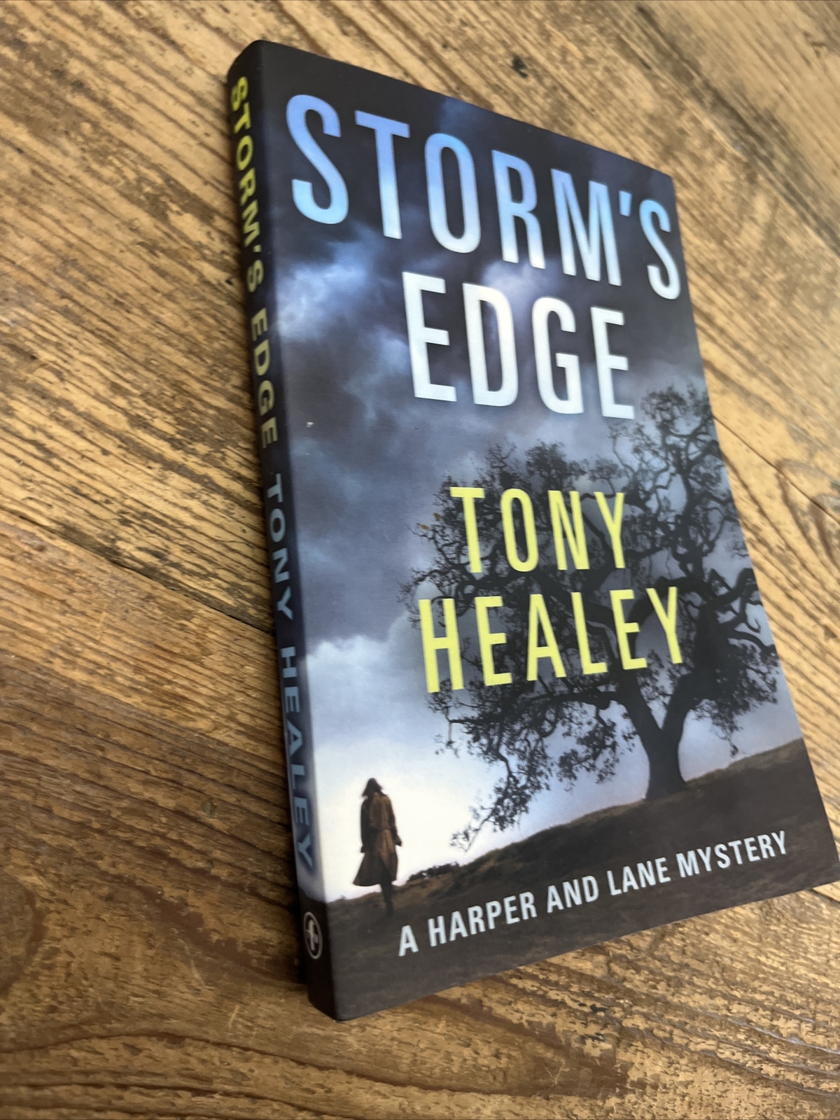 Harper and Lane Ser.: Storm’s Edge by Tony Healey (2017, Trade Paperback)