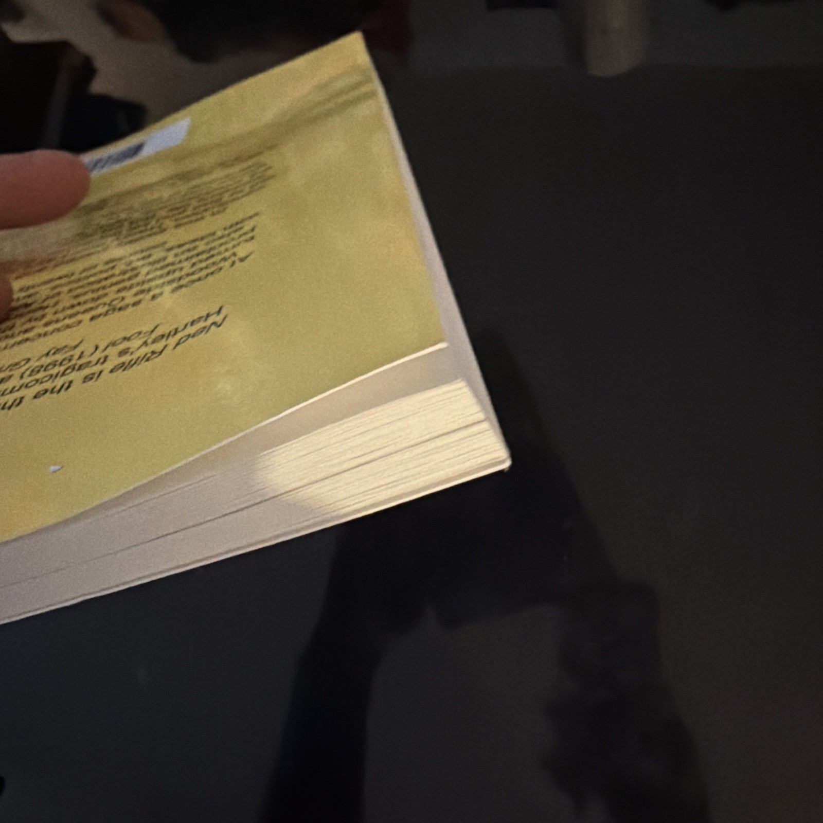 Screenplay for ‘Ned Rifle’ (2014) by Hal Hartley