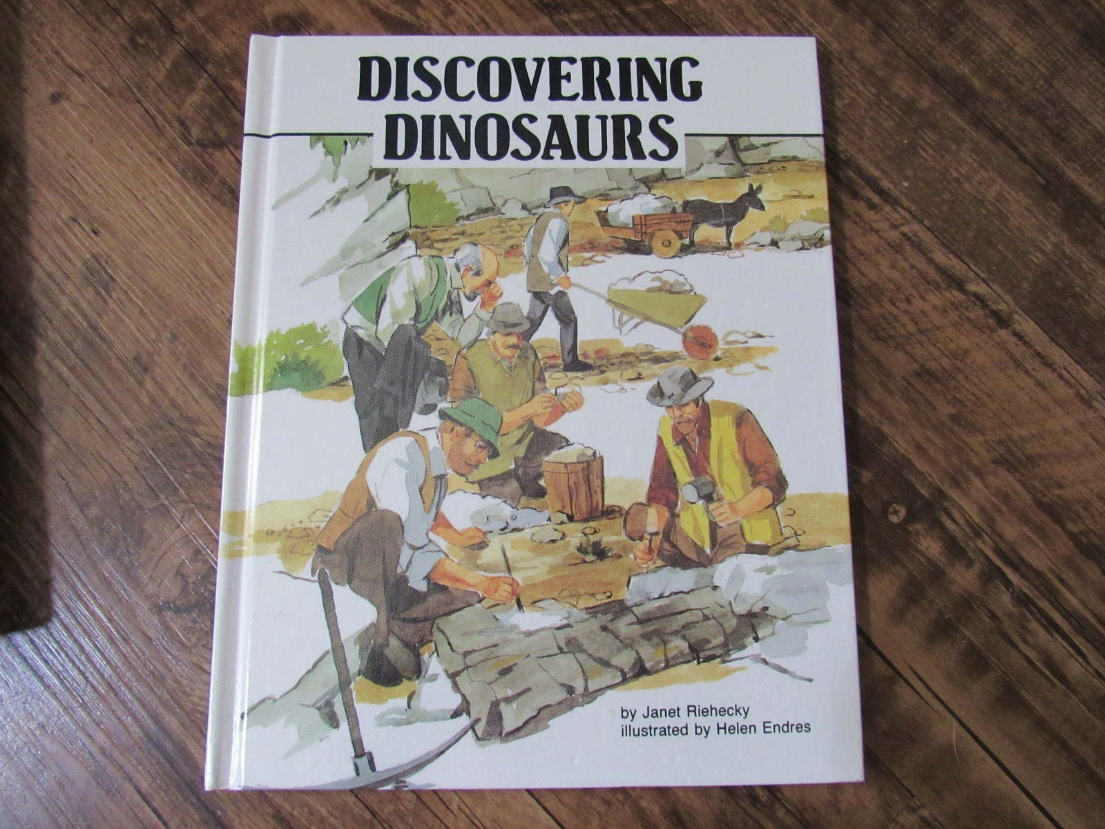 Lot of 22 Discovering Dinosaurs Books By Janet Riehecky Childs World Hardcover