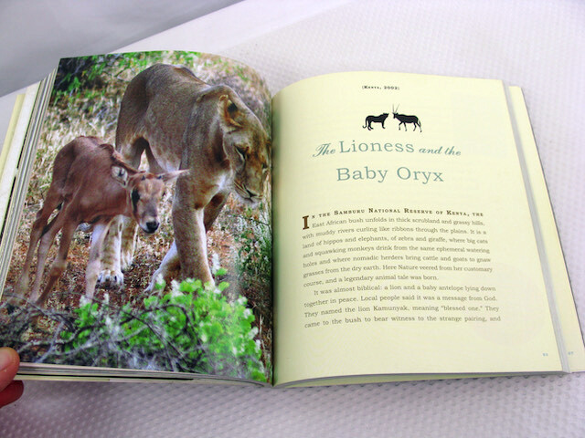 Unlikely Friendships Jennifer S Holland 2011 PB Animals Nature Relationships