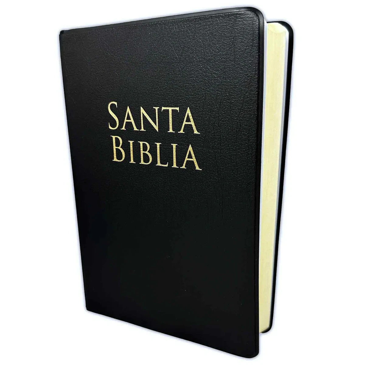 Biblia letra grande tamaño manual reina valera 1960 vinyl letra 12 puntos