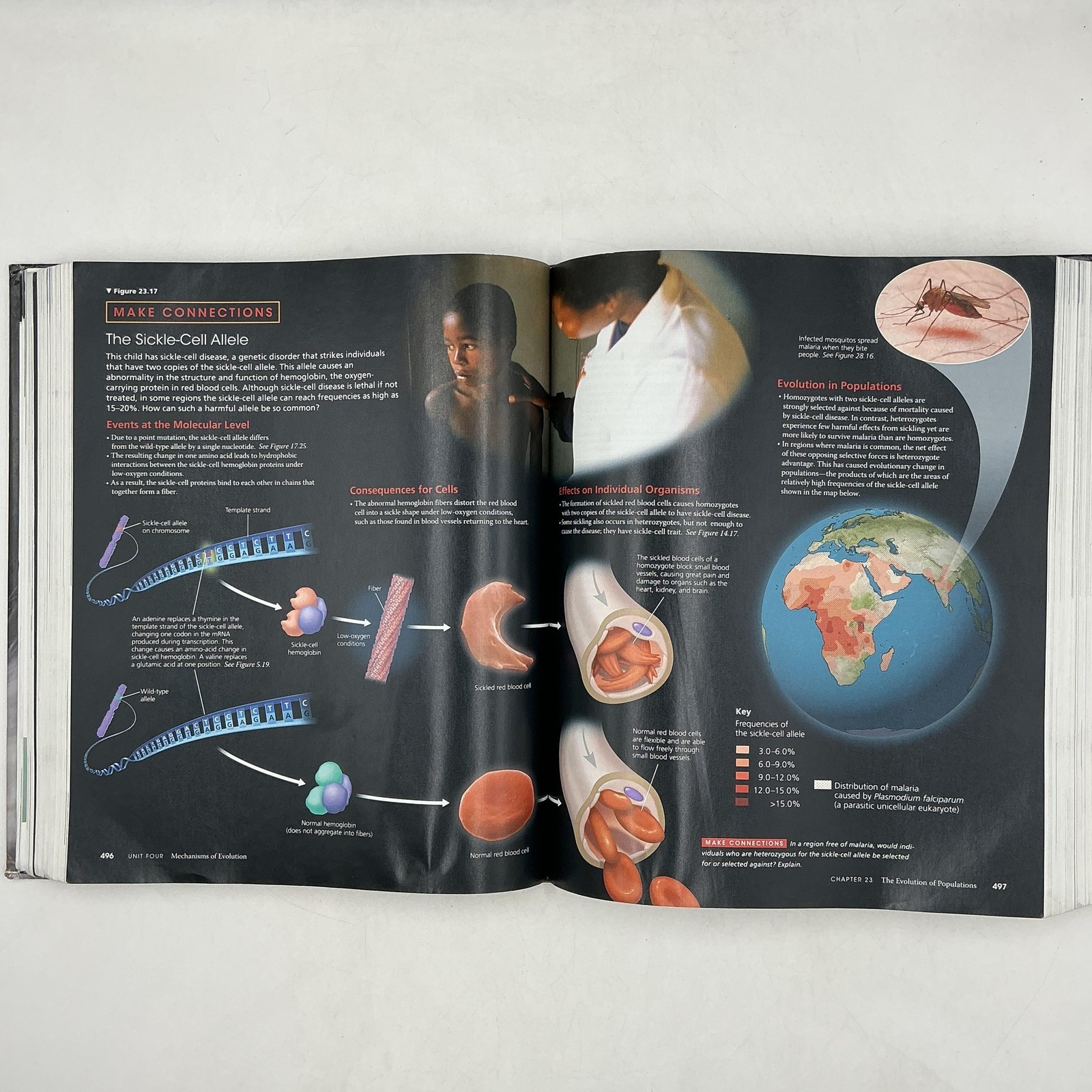 Campbell Biology Reece Urry Cain Wasserman 2014 10th Edition Black HC Pearson