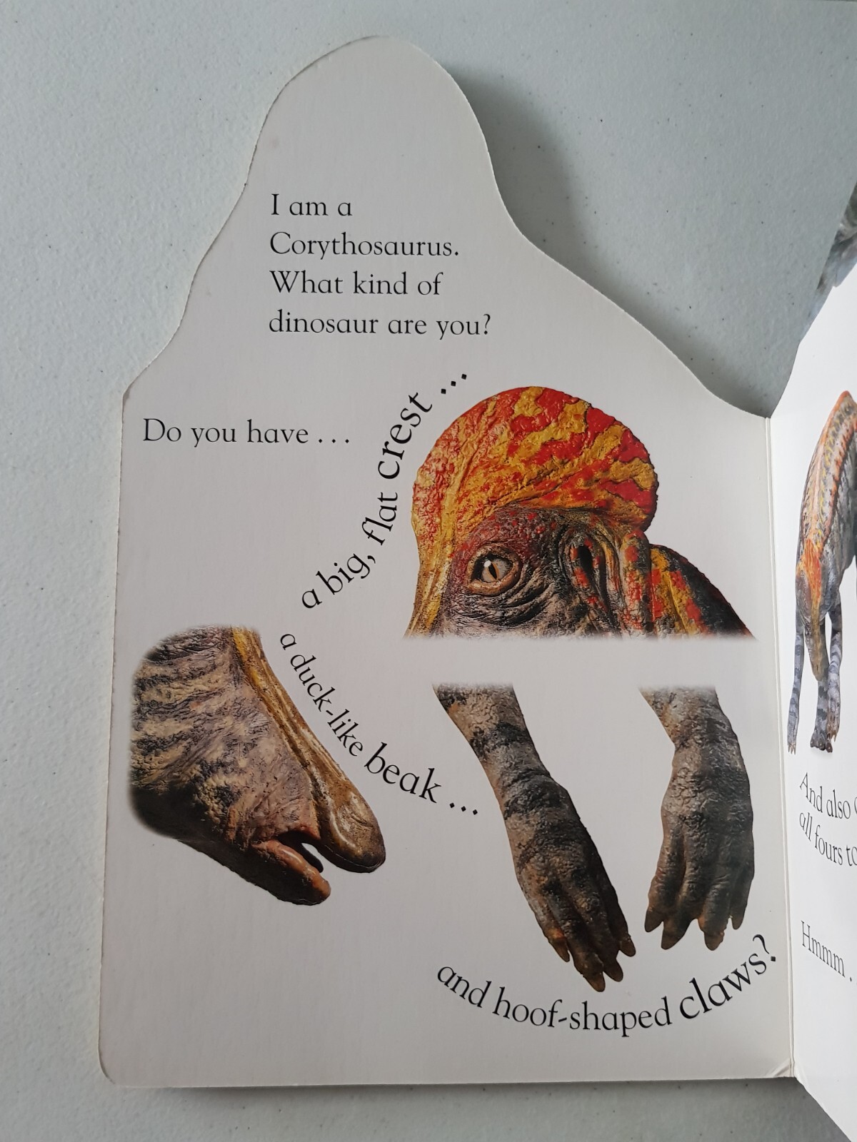 DK Board Book – Corythosaurus 2000 Nicola Deschamps Dinosaur