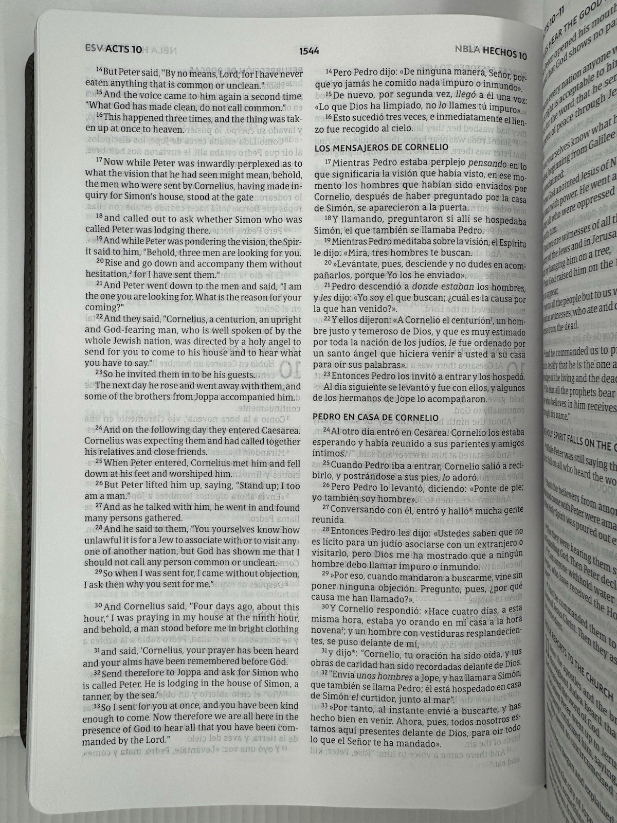 ESV/NBLA, Bilingual Bible, Leathersoft, Grey/ ESV/NBLA, Biblia Bilingüe,…
