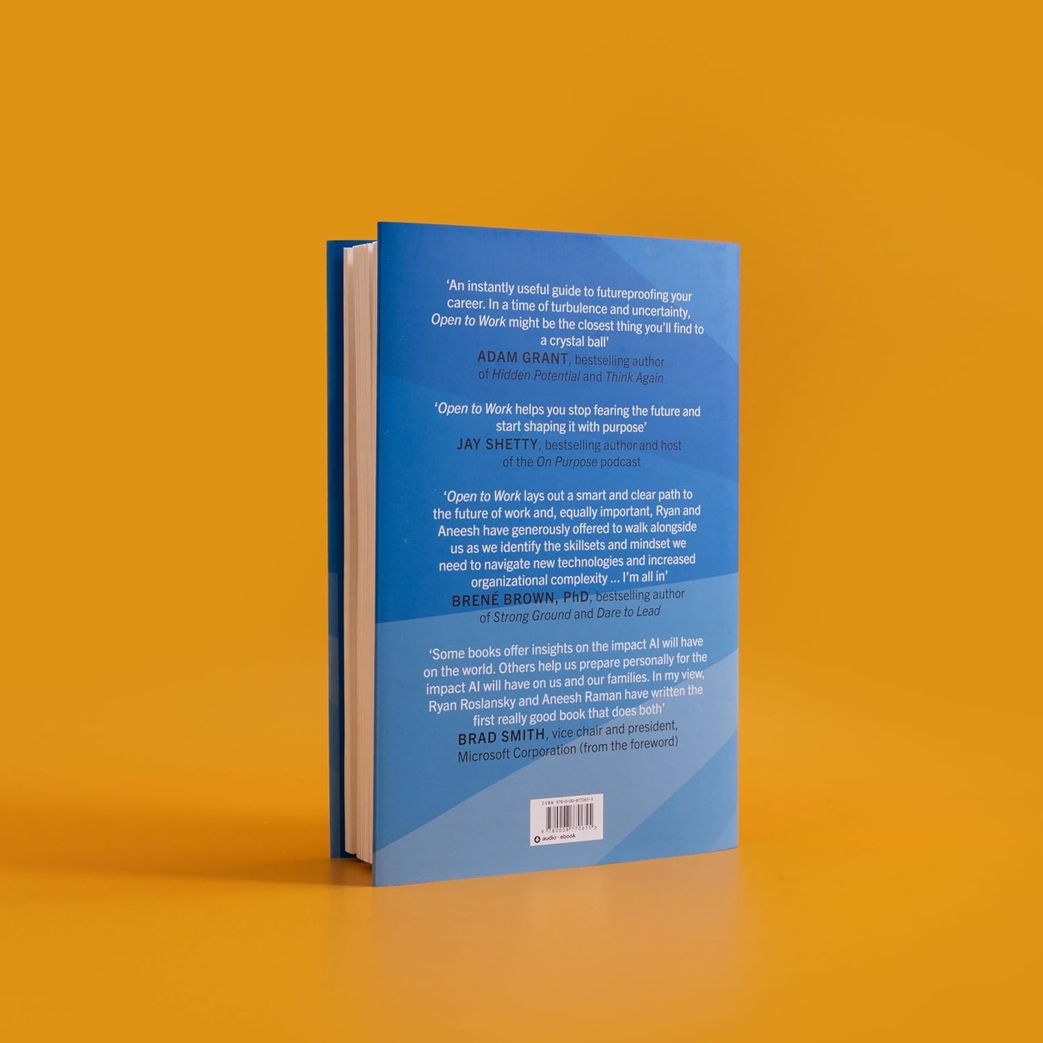 Open to Work: How to Get Ahead in the Age of Ai Hardcover