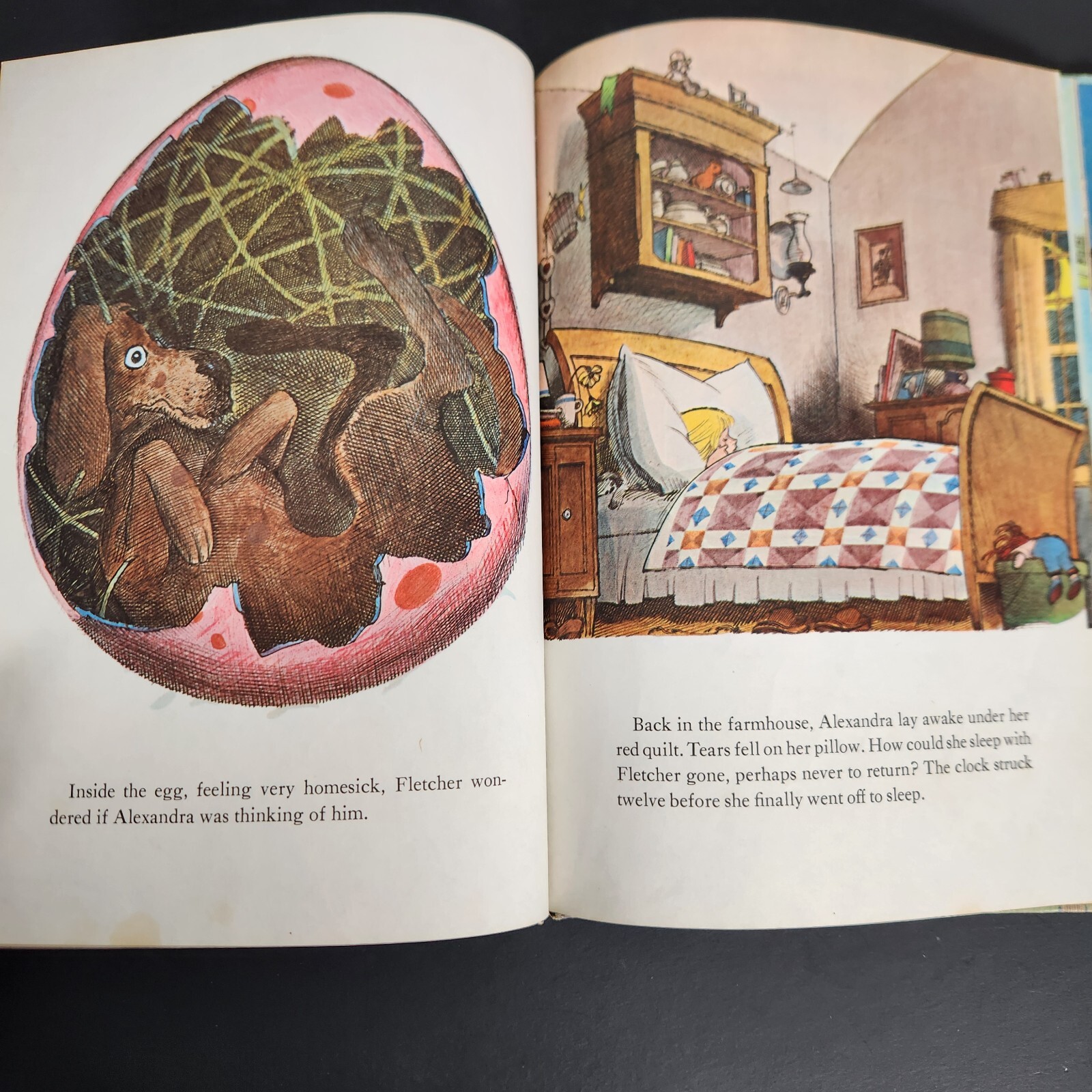 How Fletcher Was Hatched by Wende and Harry Devlin 1969 Parents Magazine Press