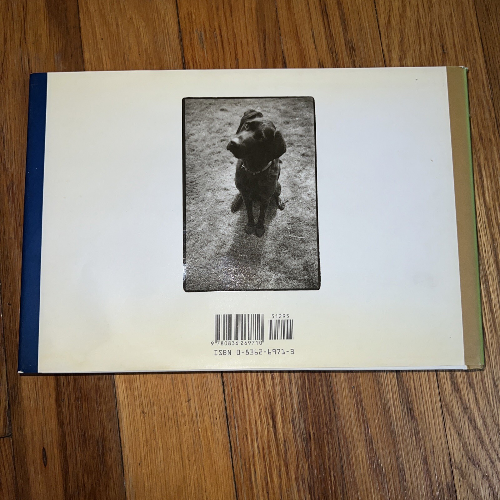 Why We Love Dogs: A Bark & Smile Book by Kim Levin, 1998