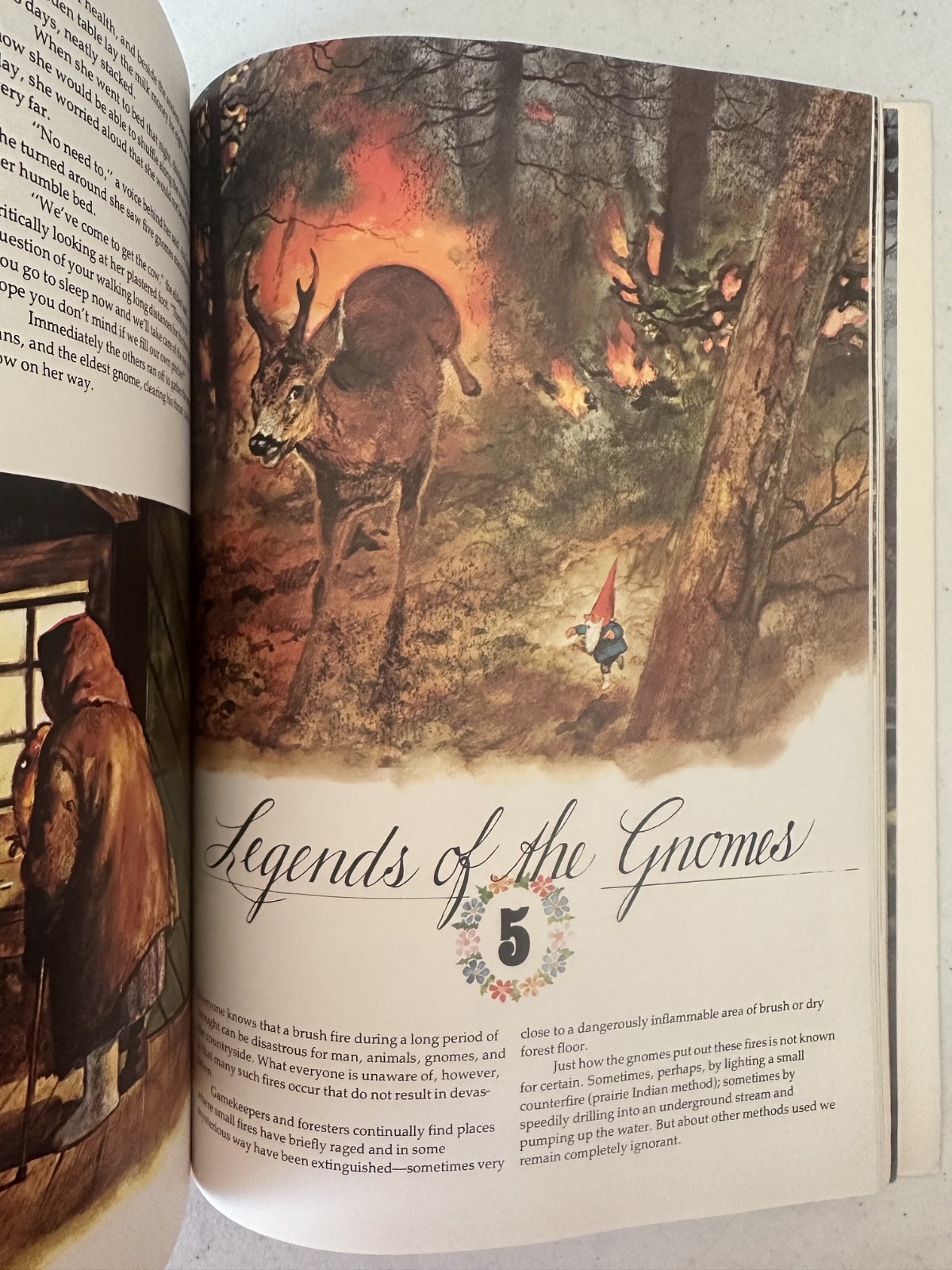 Gnomes Huygen Poortvliet 1979 1st PB printing art fairy fantasy VTG forest draw