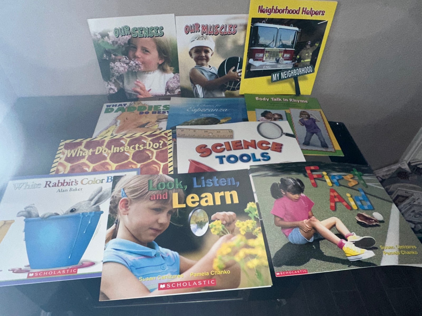 Lot of 11 Scholastic & Frog Street Press Oversize Classroom Big Books Homeschool