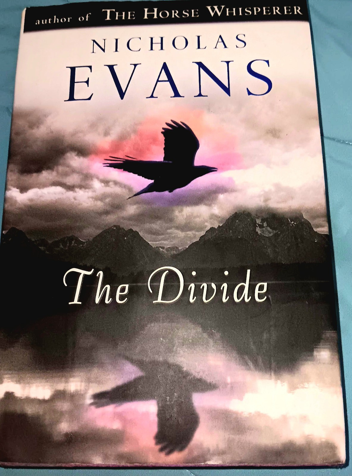 Divide by Nicholas Evans 1ST Edition, 2011 Hard Cover W/Dust Jacket