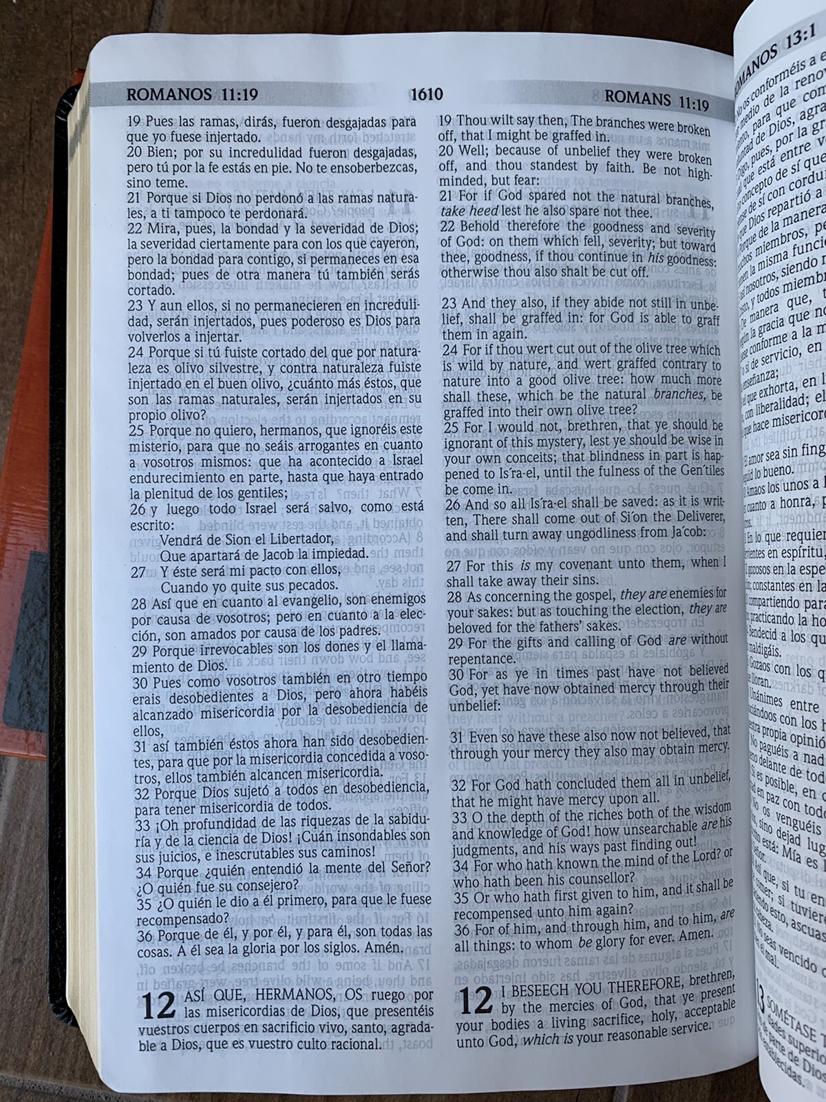 BIBLIA BILINGUE REINA VALERA1960/KJV Bilingual Bible PIEL FABRICADA 10 PUNTOS