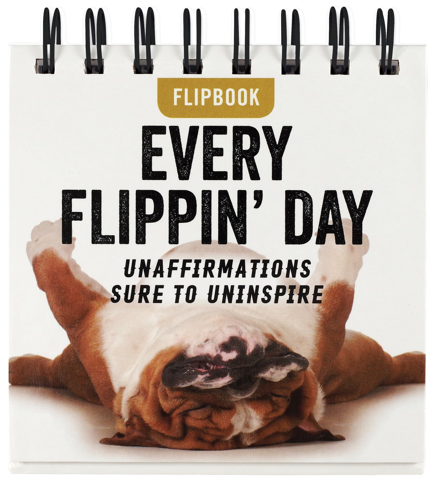 Every Flippin’ Day Desktop Flipbook – Inc. Peter Pauper Press – Good – See c…