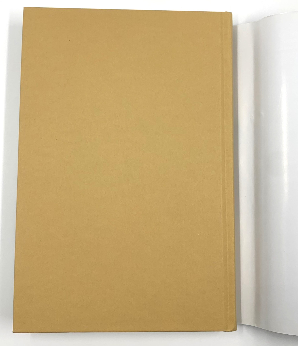 Homo Juridicus – On the Anthropological Function of the Law – by Alain Supiot HC