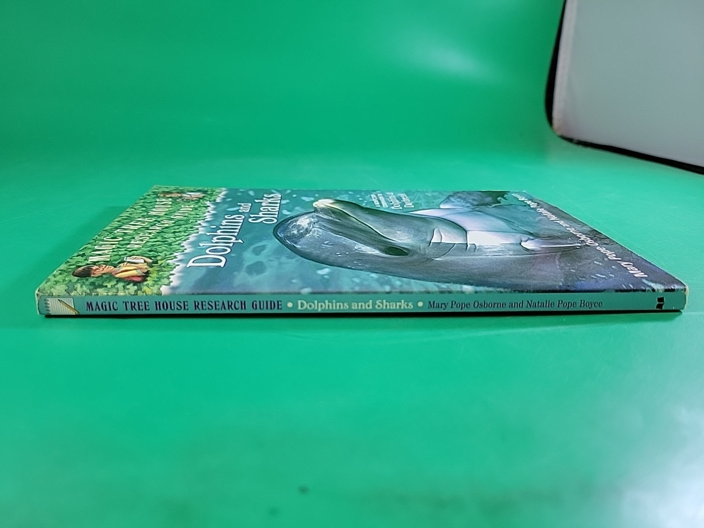 Dolphins and Sharks by Mary Pope Osborne and Natalie Pope Boyce PB