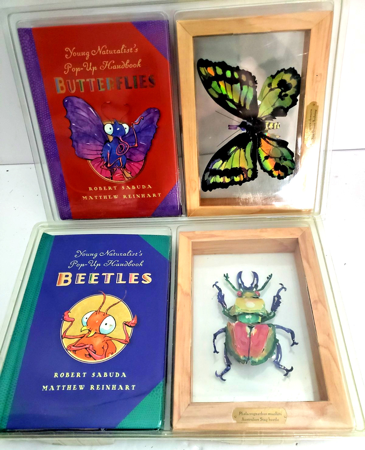 2 NEW BOOKS ROBERT SABUDA AND MATTHEW REINHART “BEETLES & BUTTERFLIES