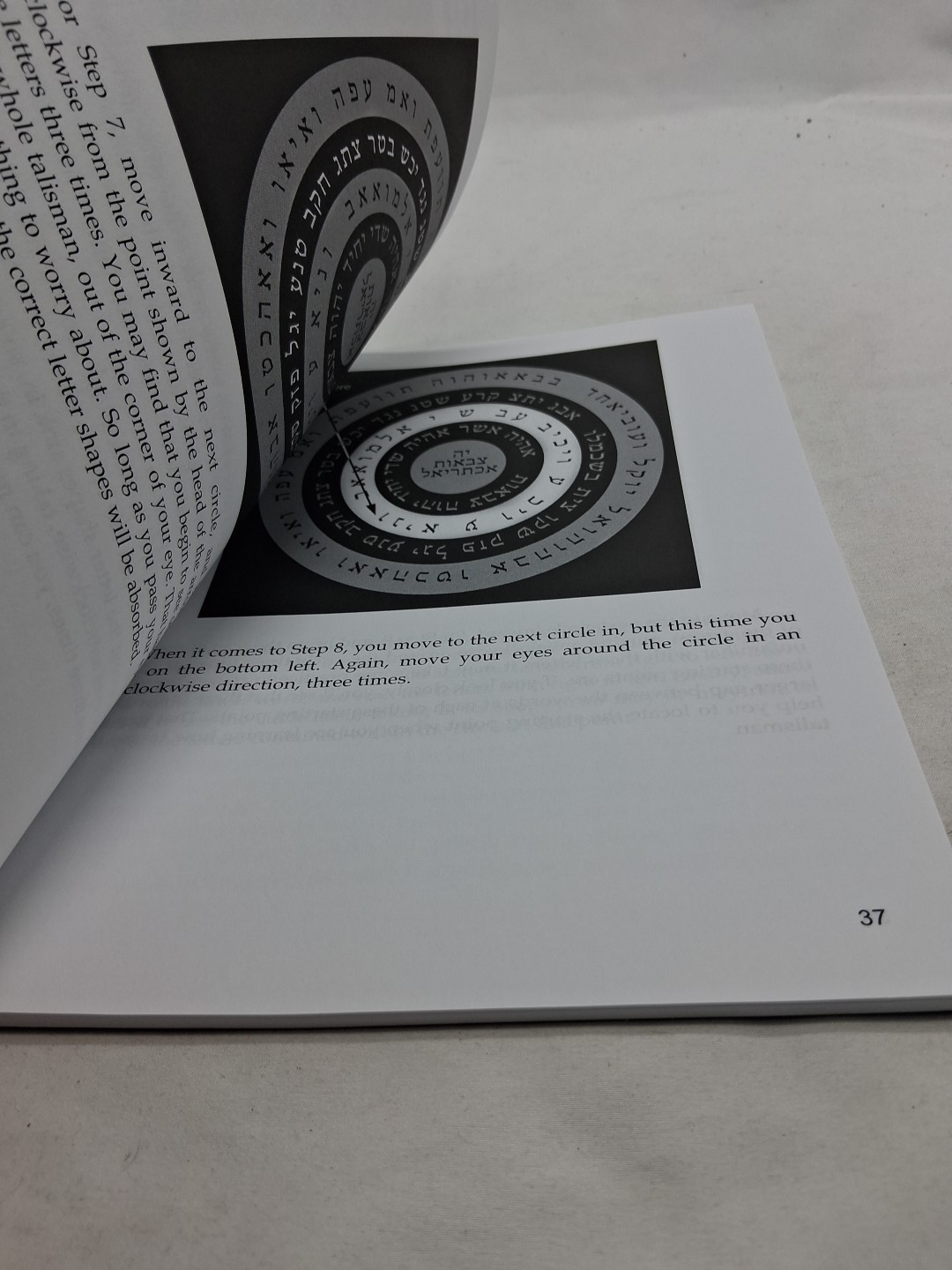 Magickal Riches: Occult Rituals For Manifesting Money by Brand, Damon