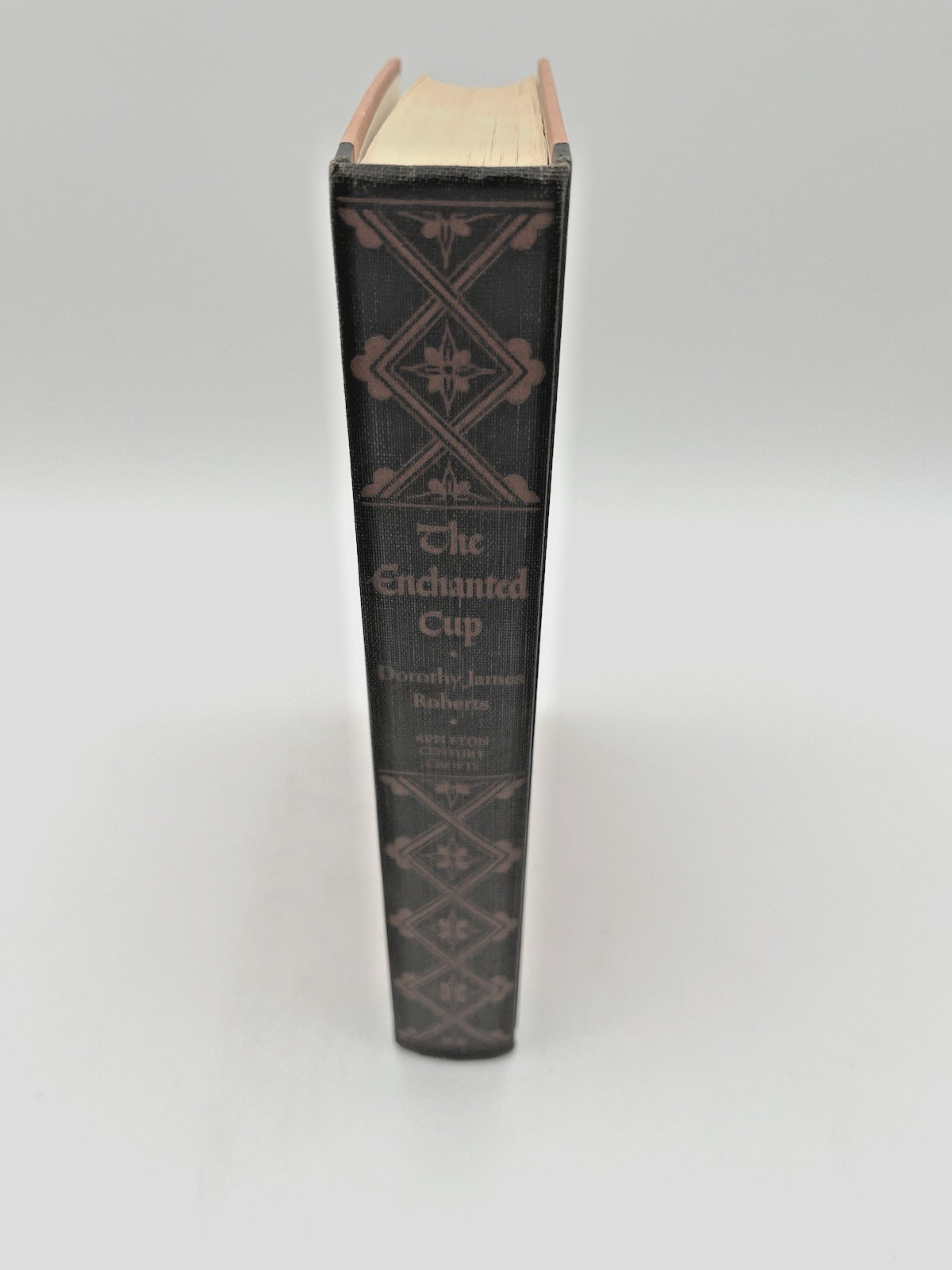 The Enchanted Cup 1953 Dorothy James Roberts Arthurian Medieval Romance Book