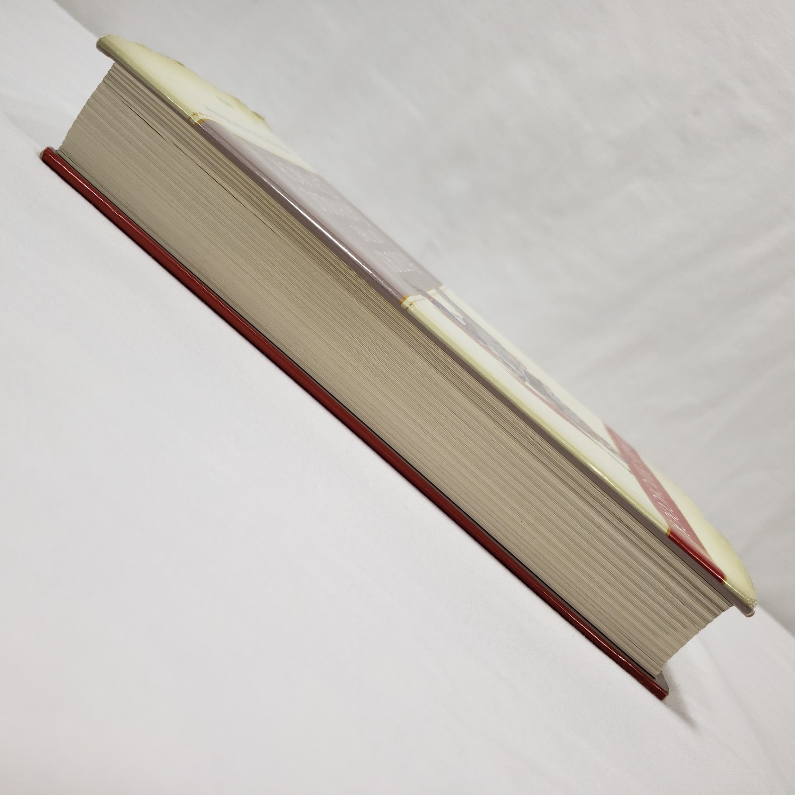 History Of The Catholic Church By James Hitchcock Hardcover Christian Theology