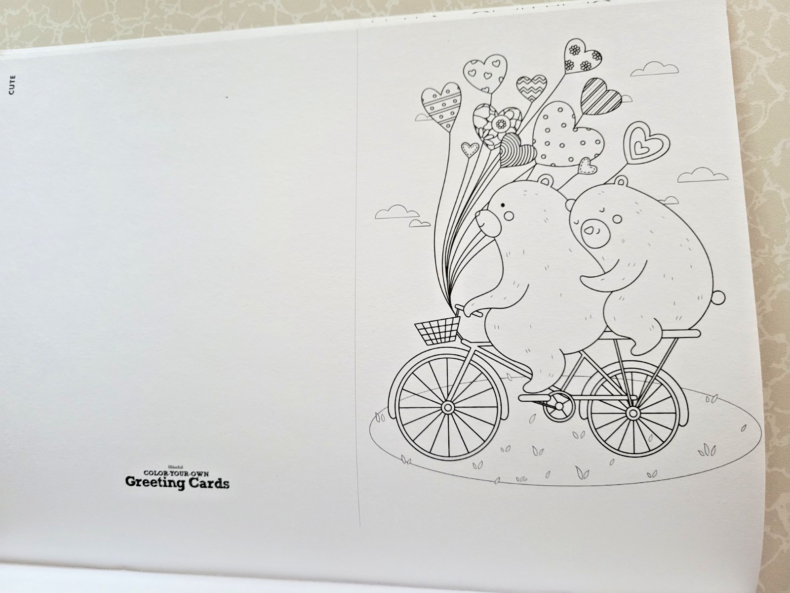 COLOR YOUR OWN GREETING CARDS Create 24 Fun & Festive Cards – Children & Adult