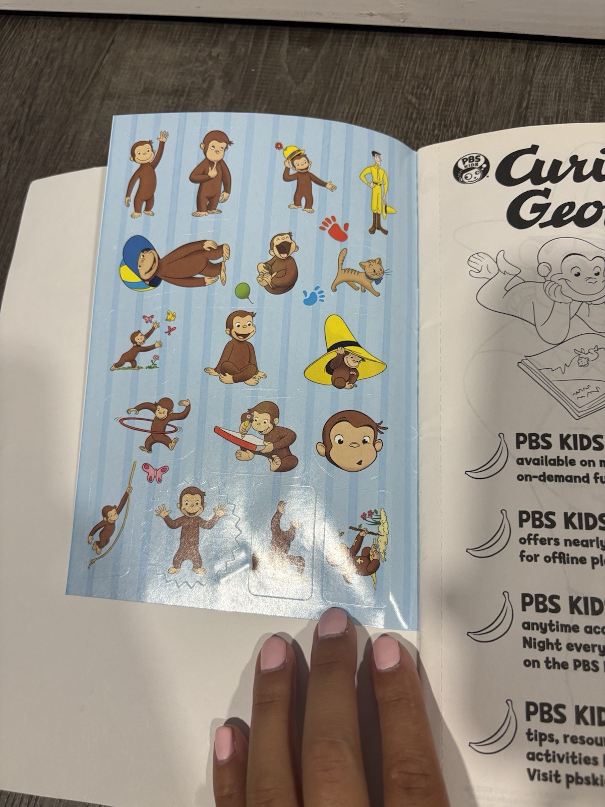 Curious George and Friends “Friends are Forever” Coloring Book w/ Stickers