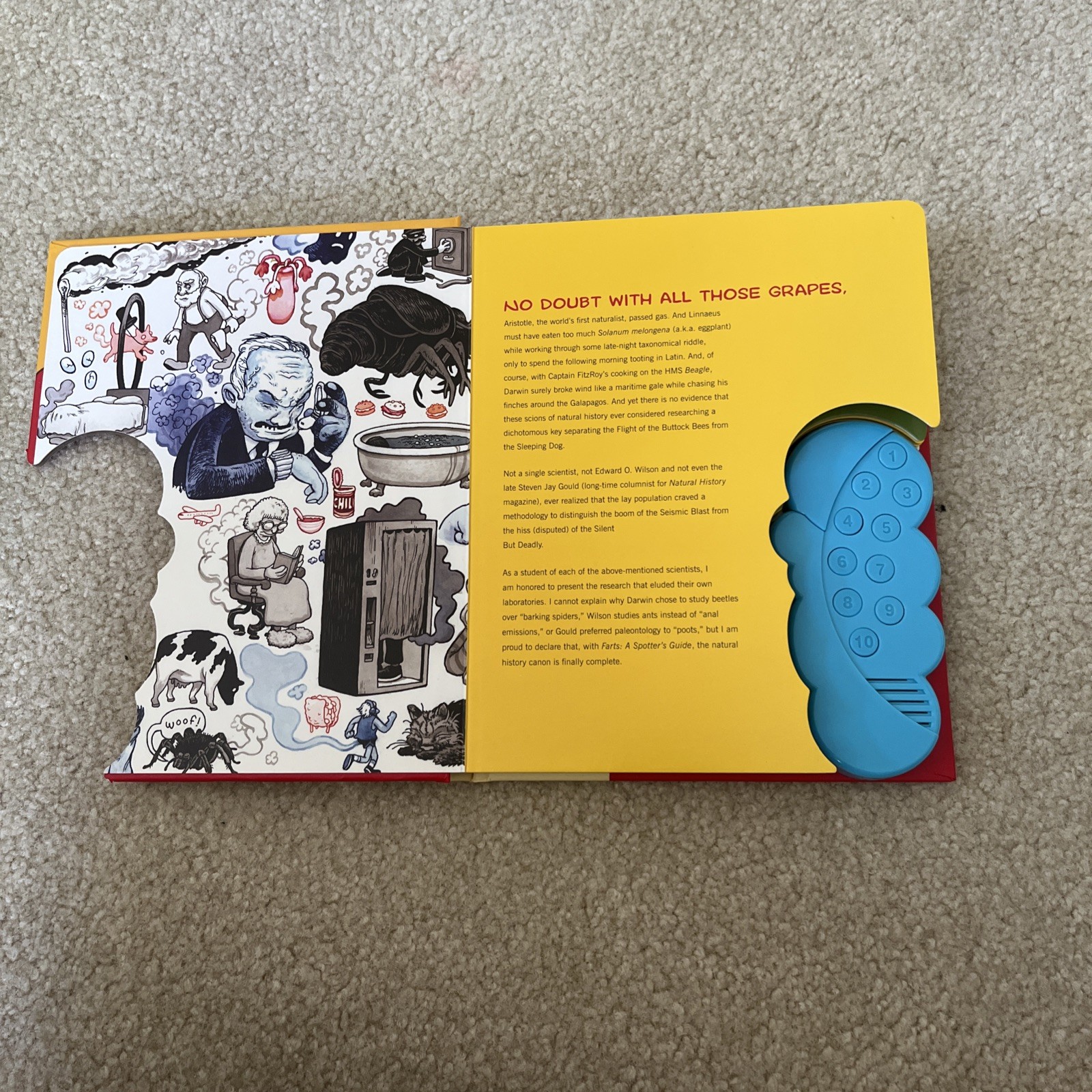 Farts: a Spotter’s Guide : (Fart Books, Fart Jokes, Fart Games Book) by Crai S.