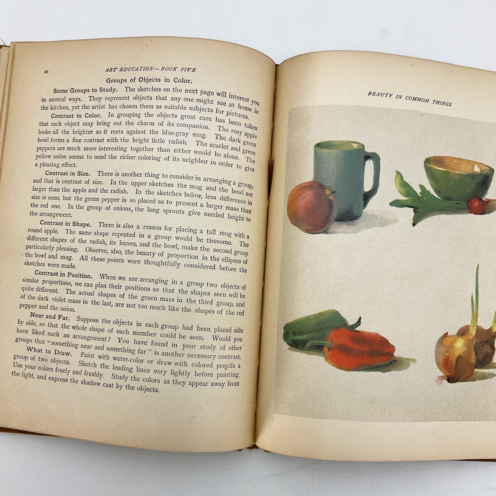 Text Books of Art Education Fifth Year Hugo Froehlich Hardcover Book 1904