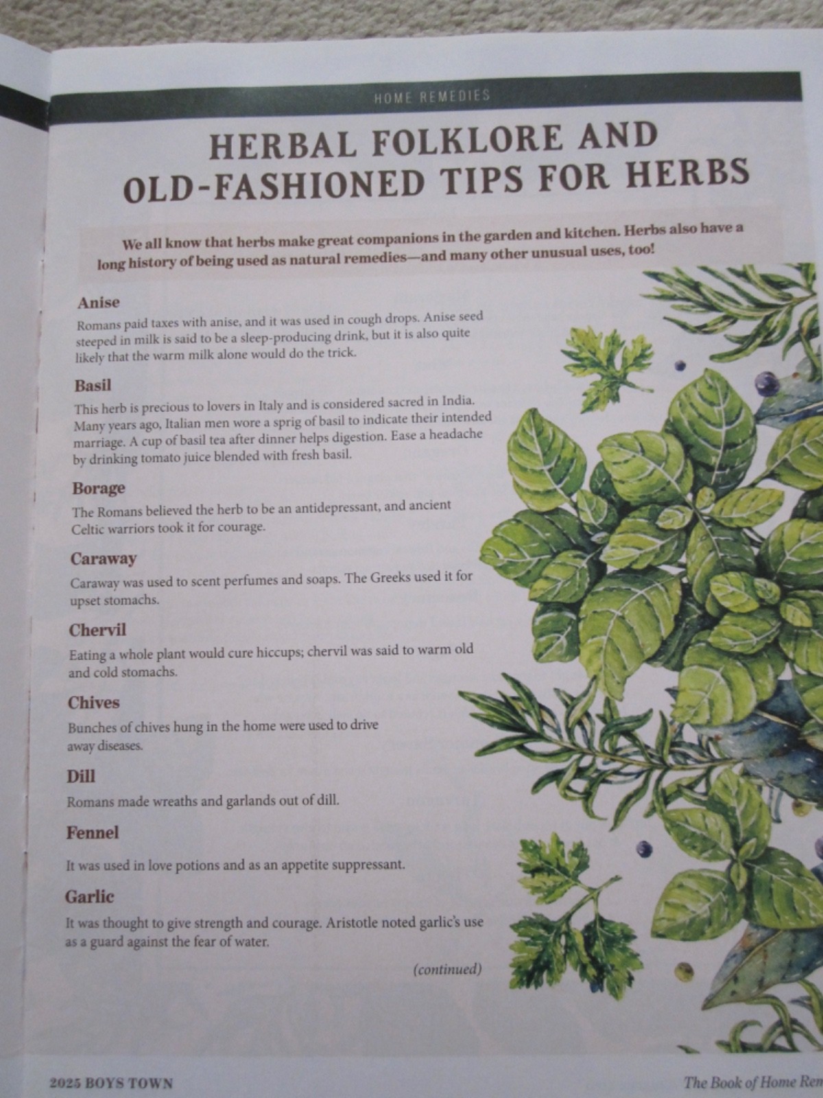 The Old Farmer’s Almanac Book of Home Remedies, 2024 & 2025, Boys Town Press