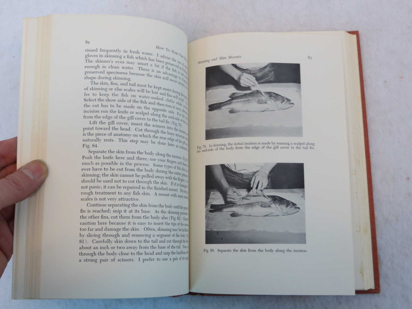 Migdalski HOW TO MAKE FISH MOUNTS AND OTHER FISH TROPHIES Ronald Press c.1960