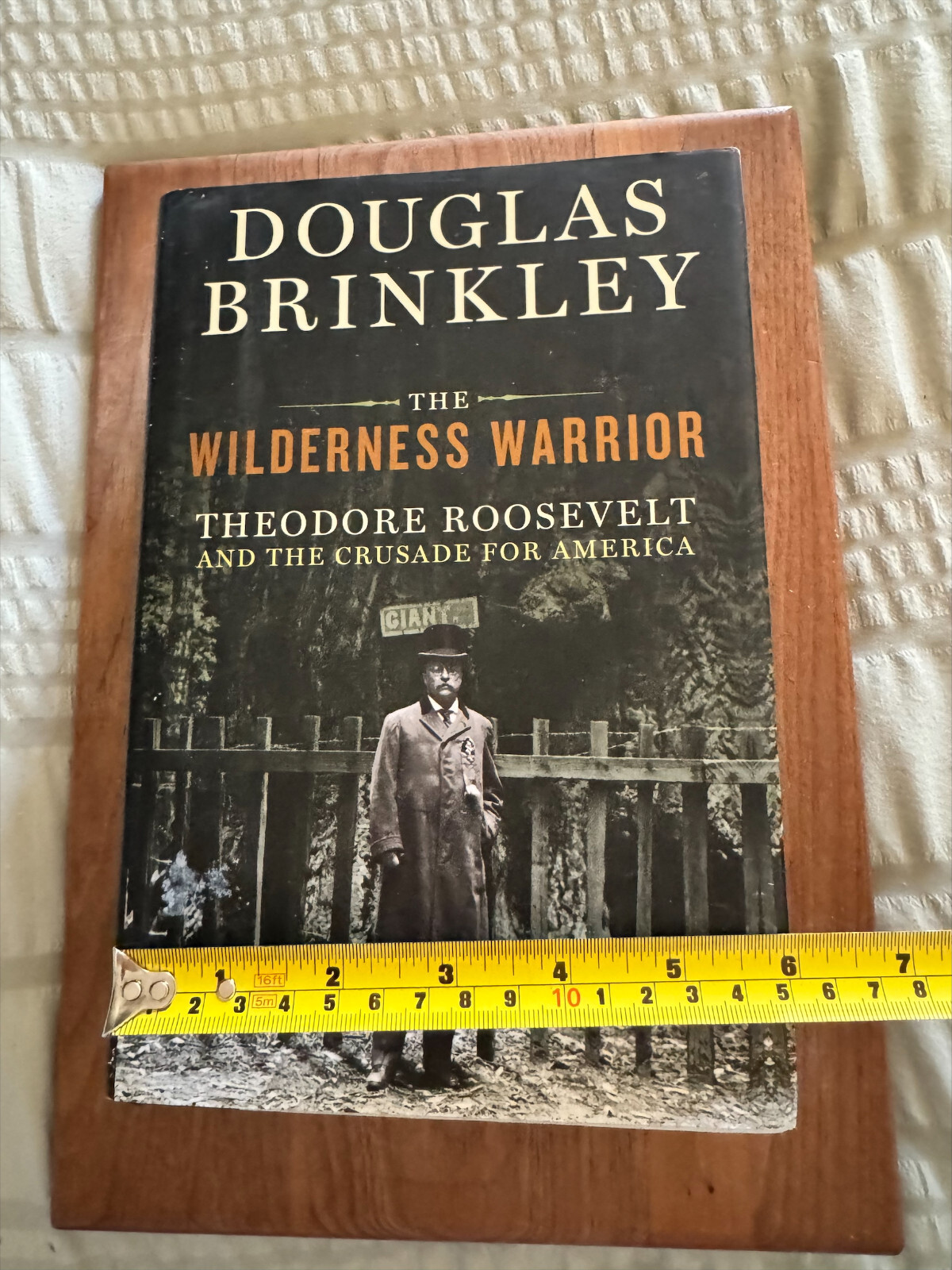 The Wilderness Warrior Theodore Roosevelt Biography By Douglas Brinkley HC