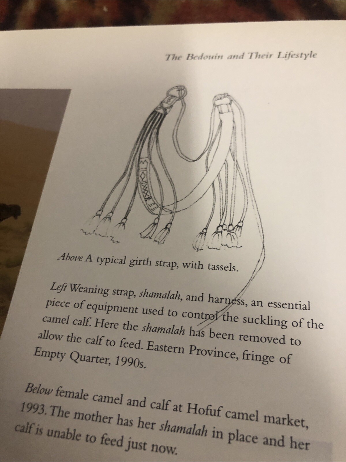 Bedouin Weaving of Saudi Arabia and Its Neighbours by Joy Totah Hilden (2010,…