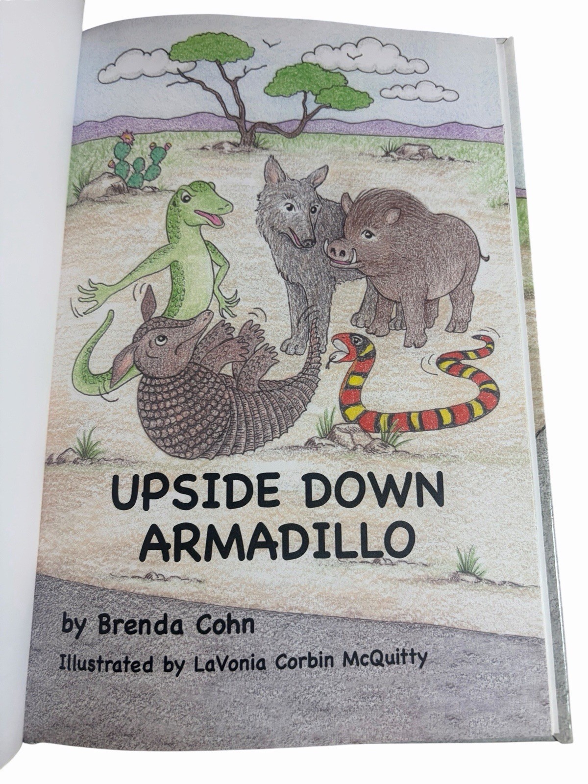 Upside Down Armadillo Signed Brenda Cohn 2013 HC w CD Lavonia McQuitty ~ NEW