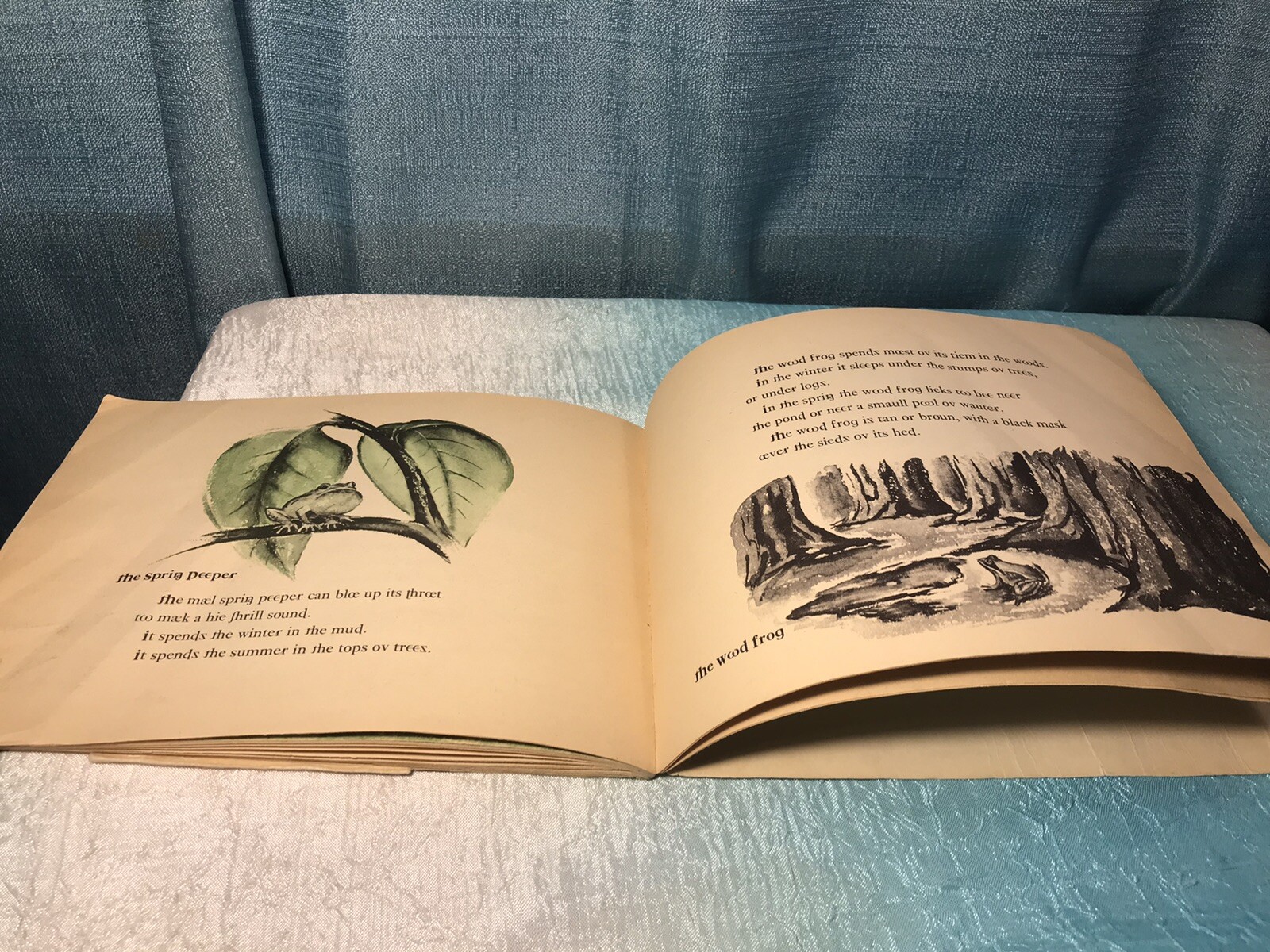 What Is A Frog Vintage 1st Edition Paperback Strange Edition whot iz a frog?