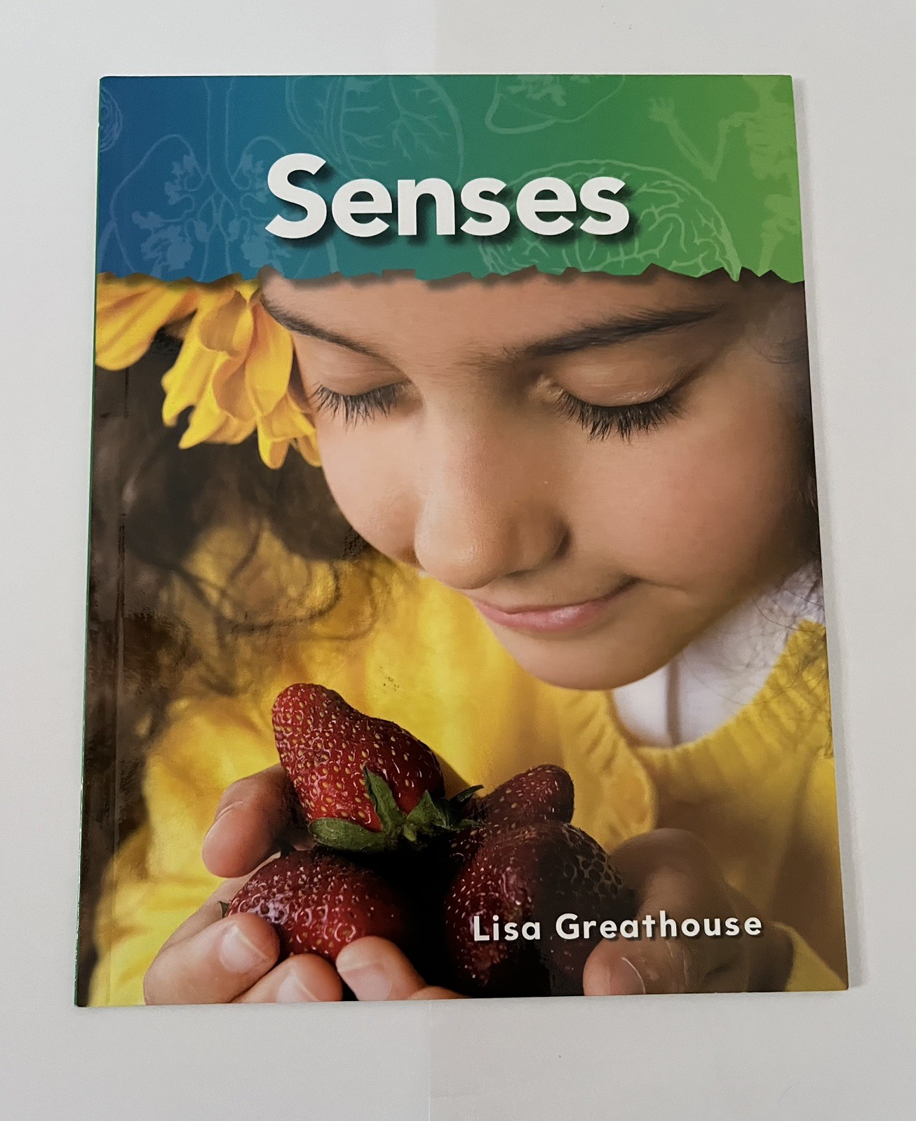 Five Senses Books Lot of 5 for Preschool & Classroom Like New