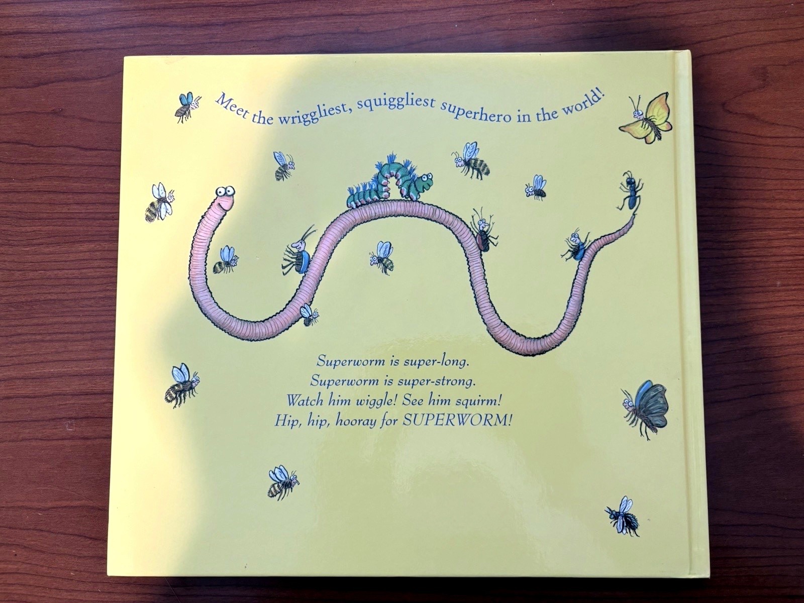 Superworm by Julia Donaldson Hardcover Book (First American Edition, 2014) New