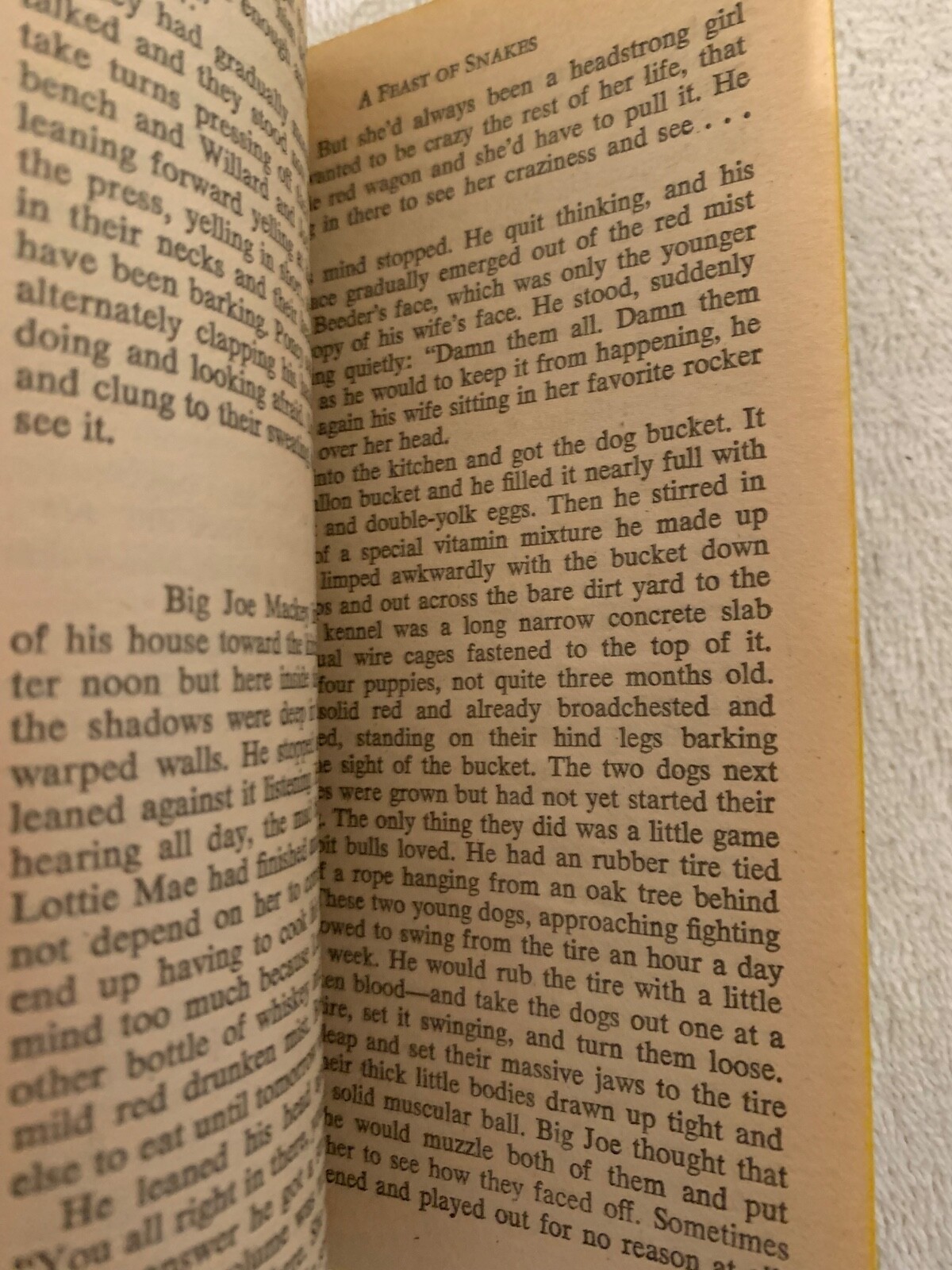 A Feast of Snakes by Harry Crews (1978) Ballantine 1st Printing VG