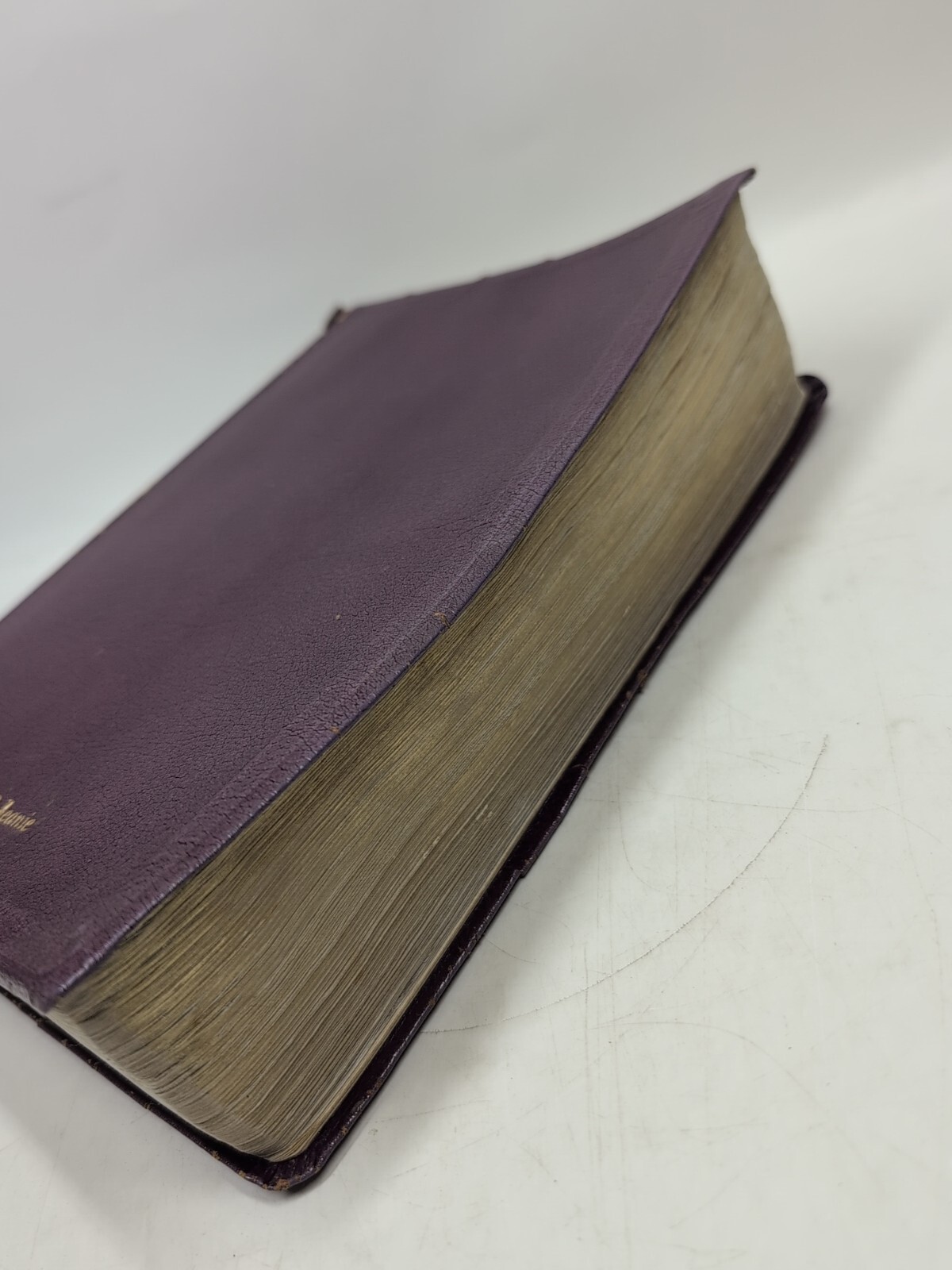 Zondervan NIV 1985 Study Bible Red Letter Violet/Purple Bonded Leather