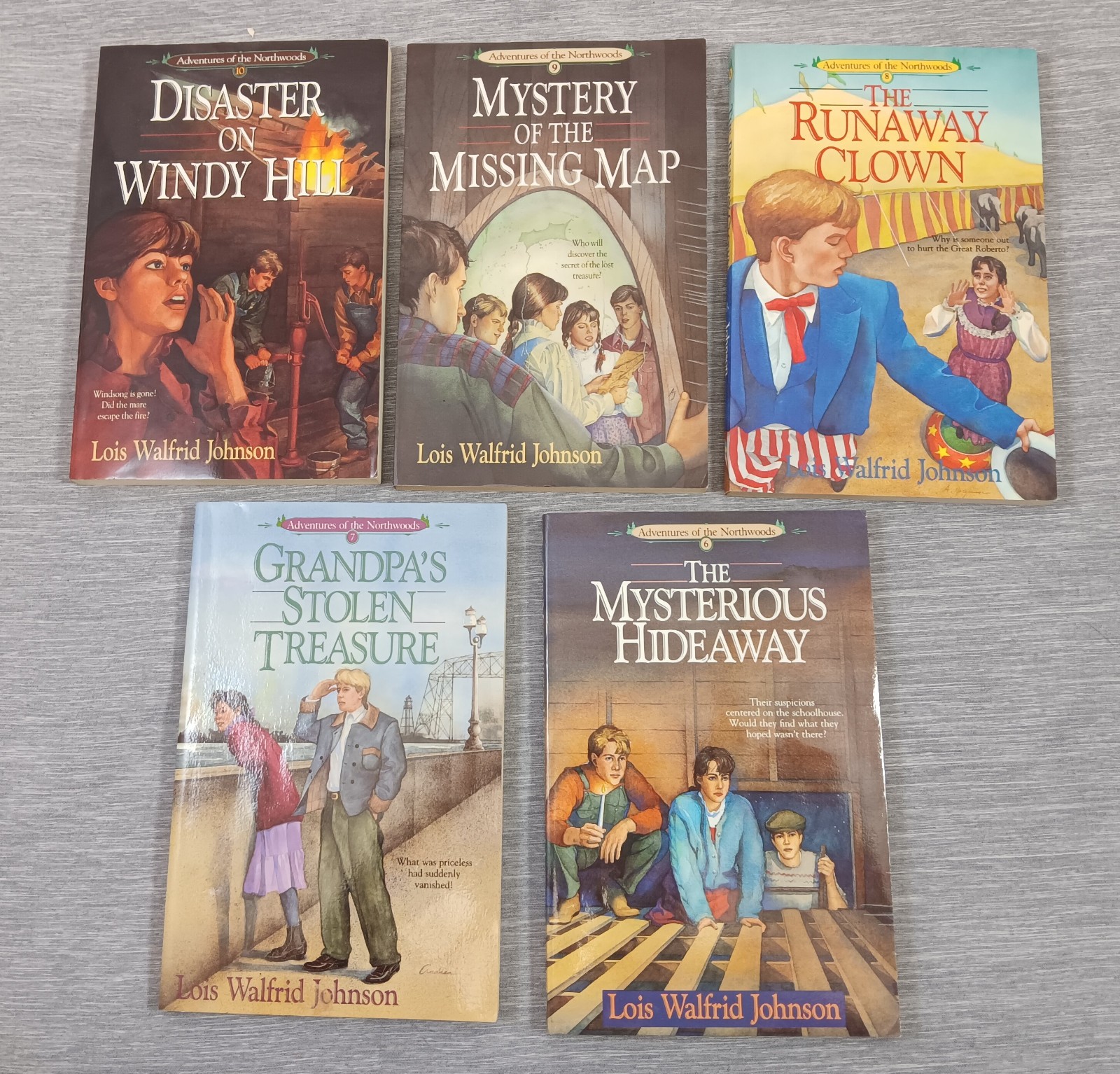 Adventures of the Nothwoods Boxed Set #2 6 7 8 9 10 Lois Walfrid Johnson PB Lot