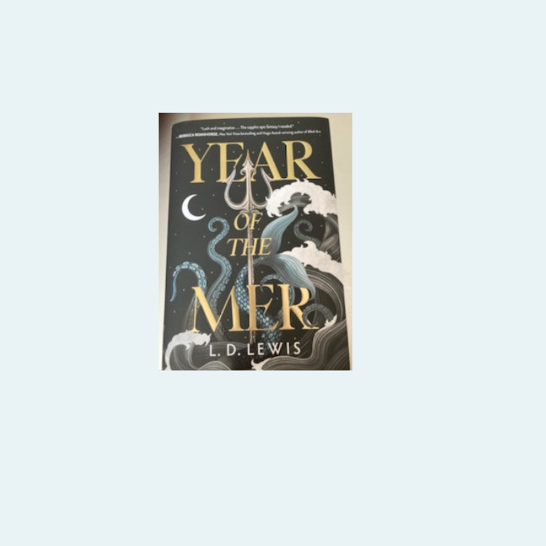 The Year of the Mer Deluxe Edition Hardcover by L.D. Lewis
