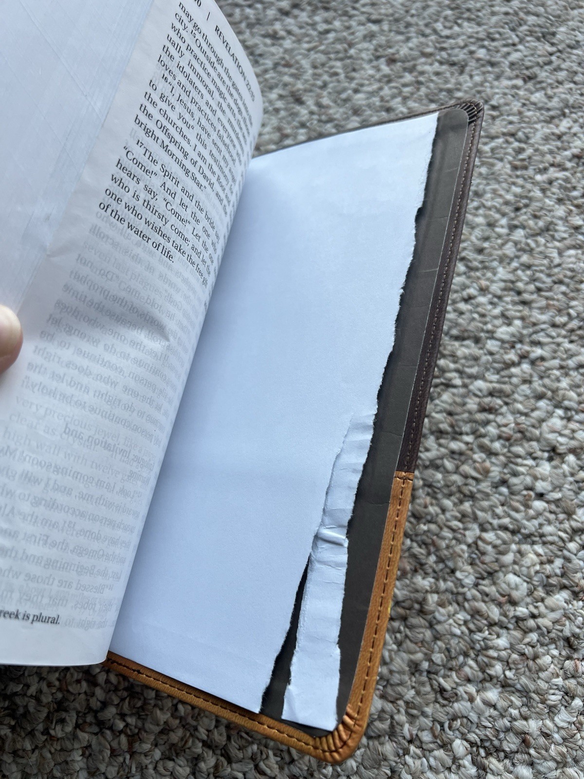 ⭐️Zondervan NIV Large Print Bible-Holy Bible-Leathersoft-Italian Duotone-READ⭐️