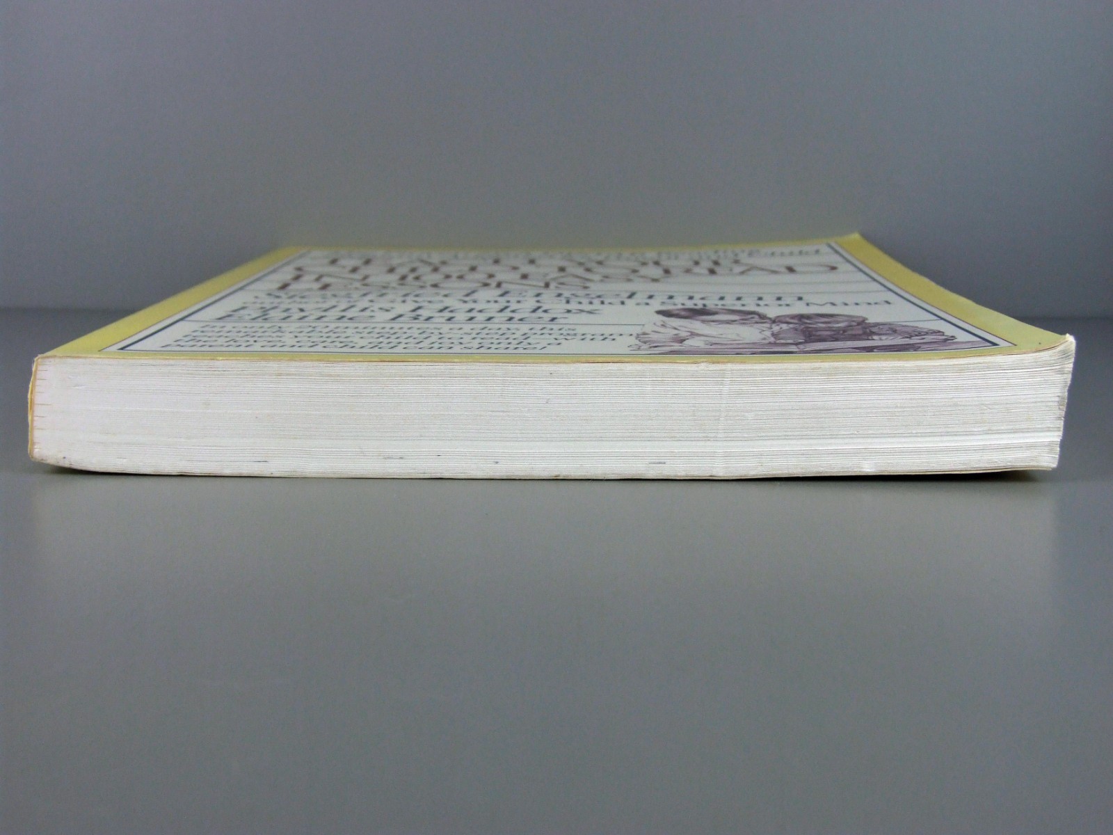 Teach Your Child to Read in 100 Easy Lessons by Siegfried Engelman Haddox Bruner