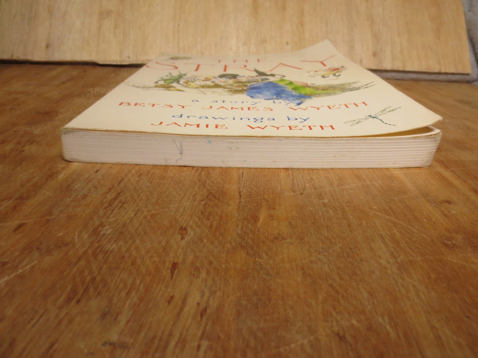 The Stray by Betsy James Wyeth Illustrated by Jamie Wyeth 1st Ed 1979 VTG