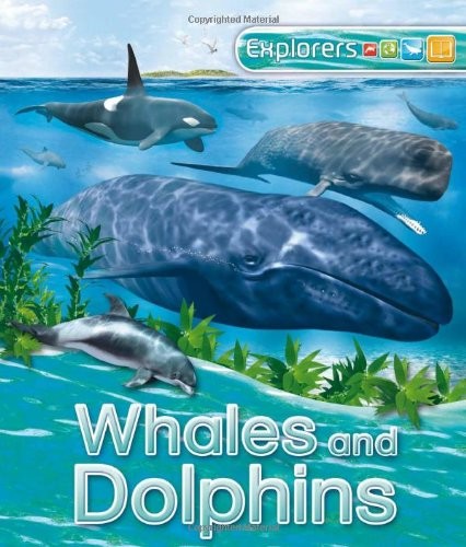 EXPLORERS: WHALES AND DOLPHINS By Peter Bull & Anita Ganeri – Hardcover *VG+*