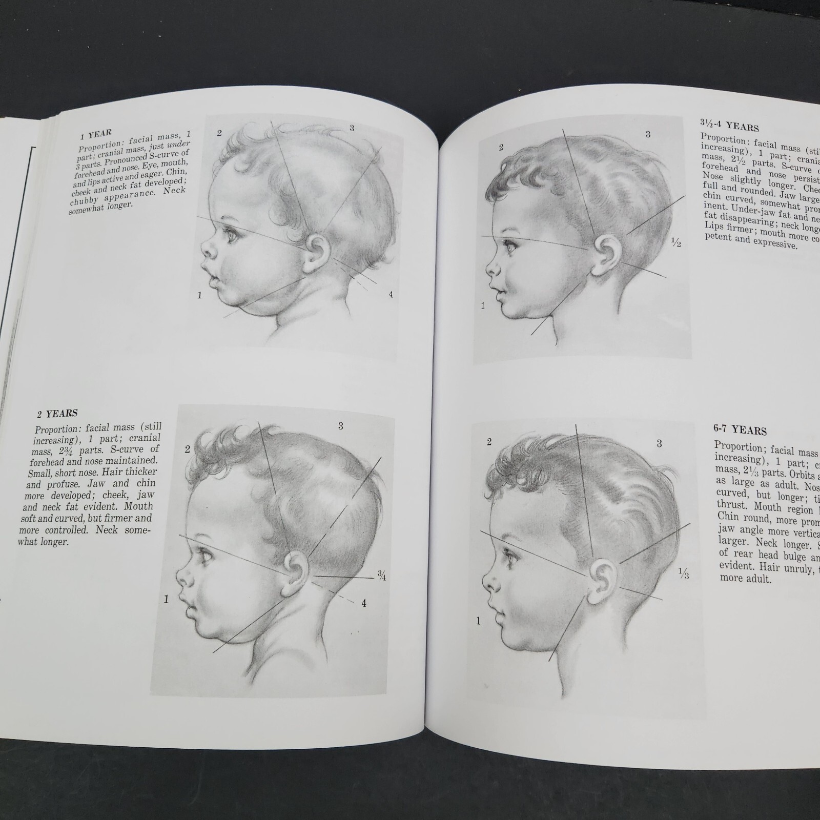 Drawing the Human Head by Burne Hogarth proportions types aging feature movement