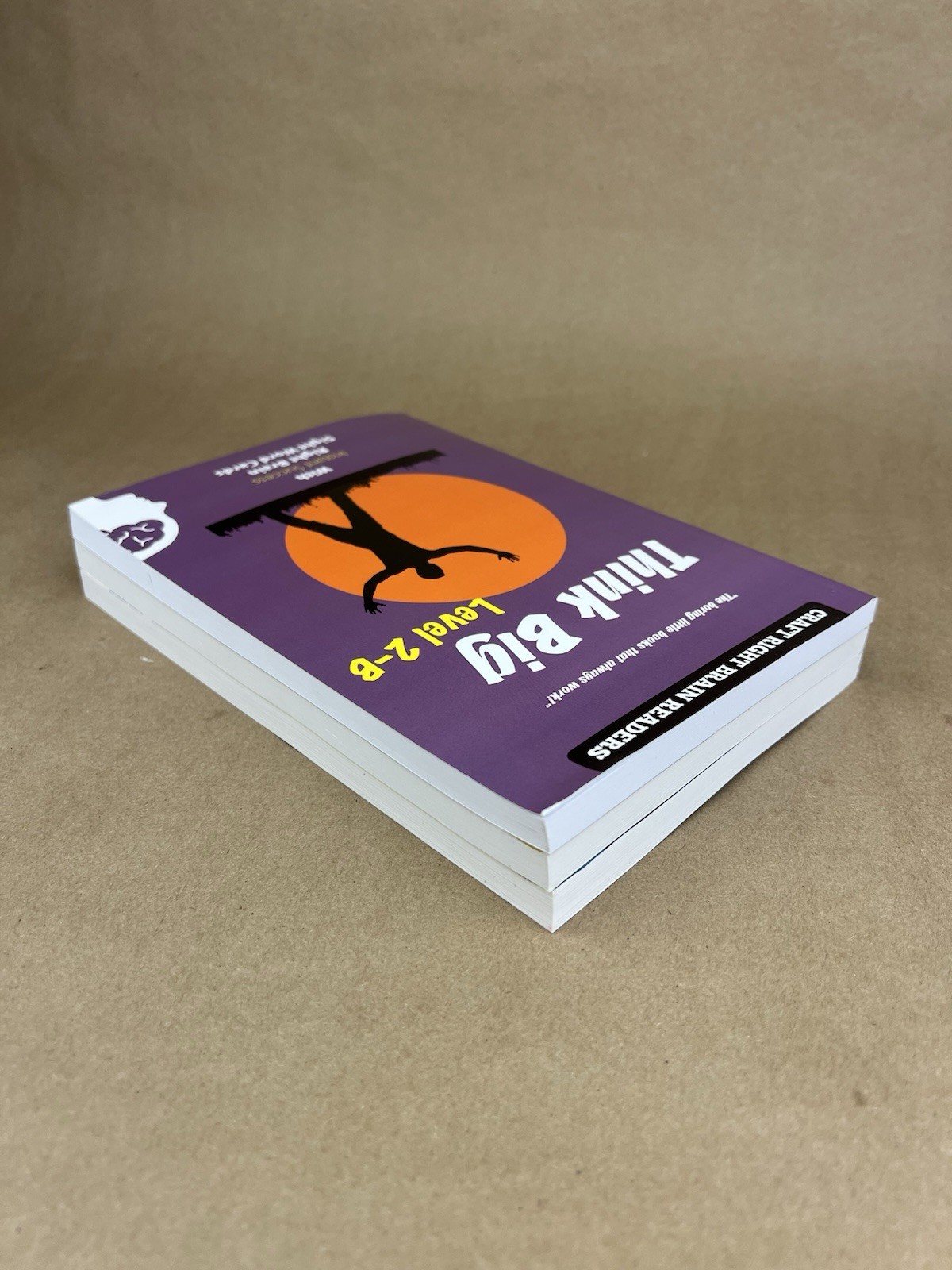 Craft Right Brain Readers: Level 2B 2C 2D, Homeschool, Reading, Phonics, PB