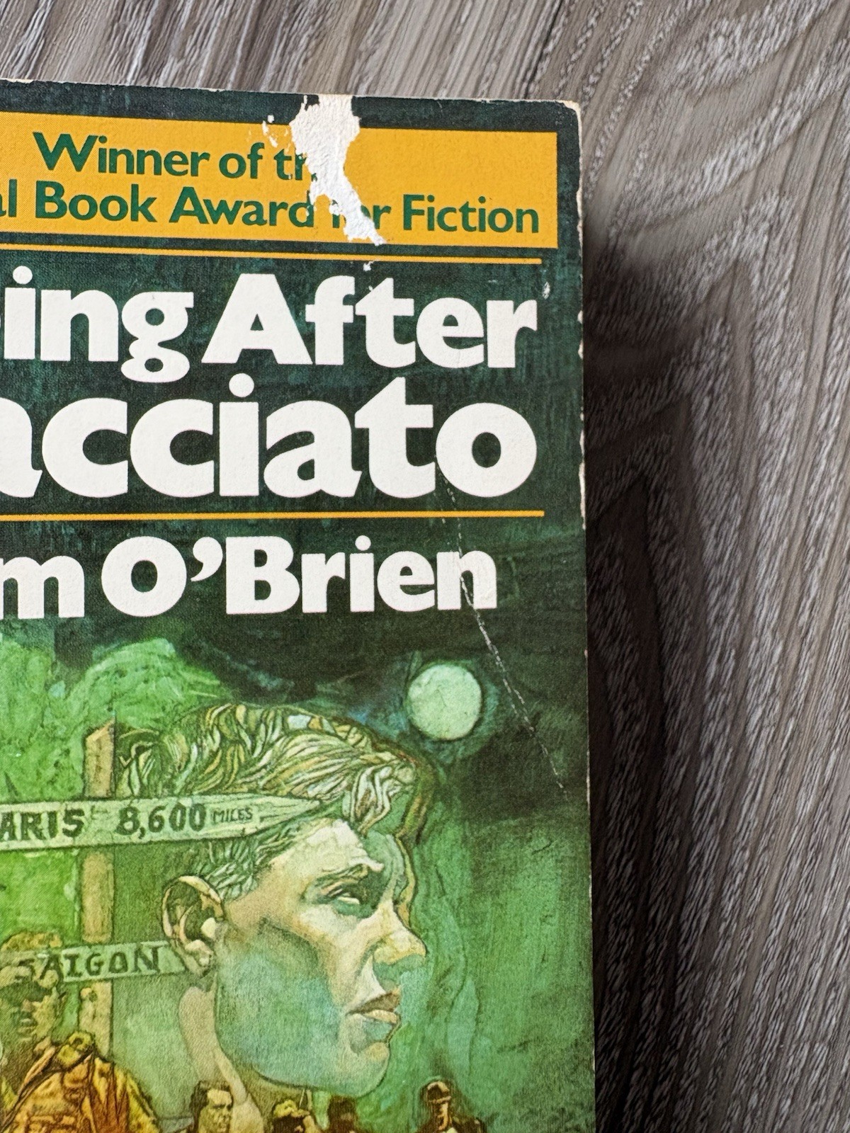 Going After Cacciato Tim O’Brien Vintage Paperback Vietnam War Dell Publishing
