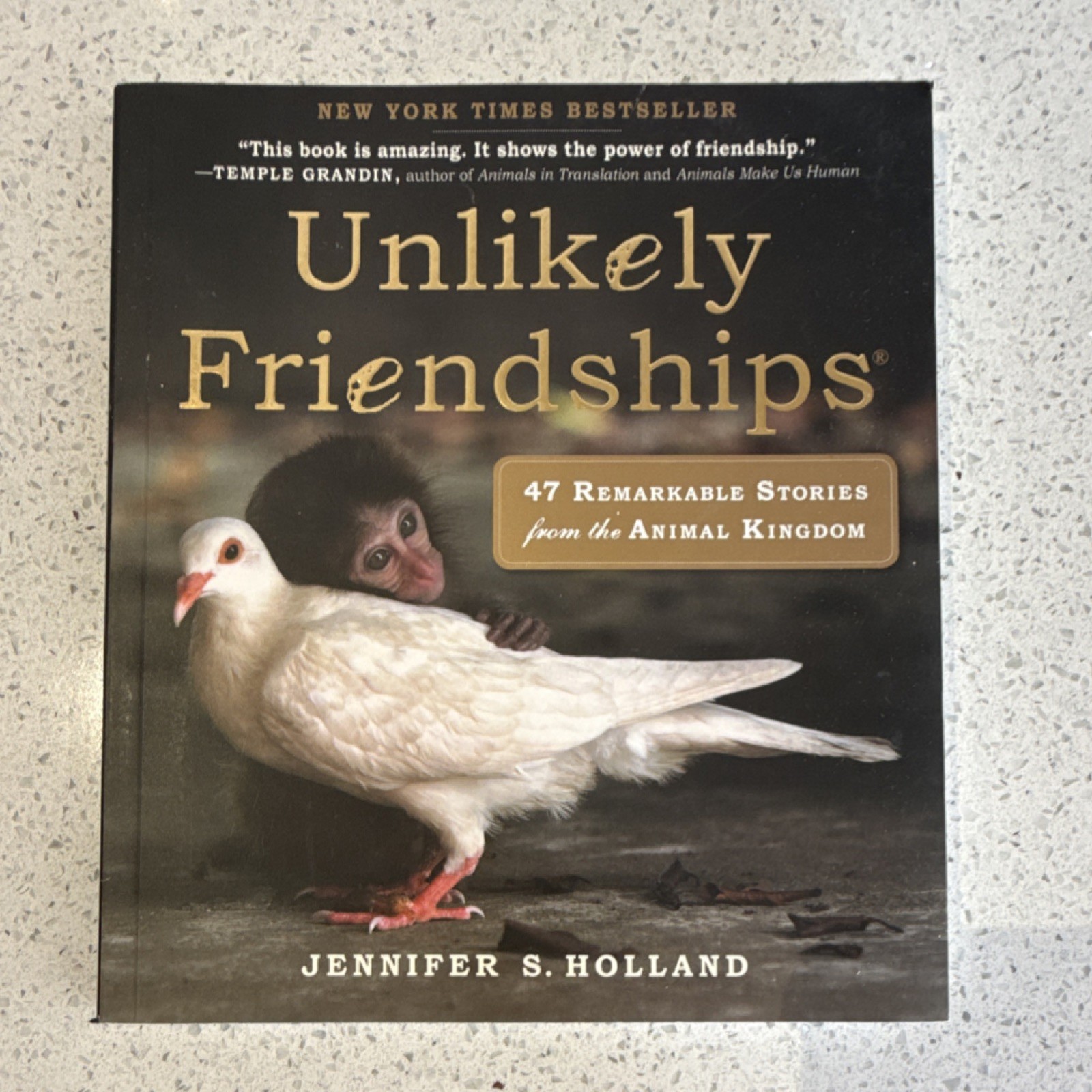 Workman Publishing Unlikely Friendships by Jennifer S. Holland Illustrated PB