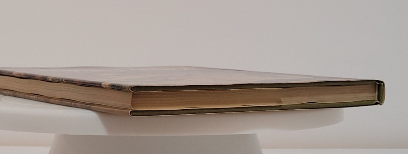 KANO EITOKU JAPANESE ARTS LIBRARY By Tsueneo Takeda 1st Edition